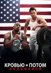 Кровью и потом: Анаболики / Pain & Gain / 2013 / ЛО / BDRip (1080p)